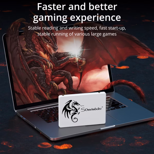 SomnAmbulist SSD 2.5 64GB 128GB 256GB 512GB for Laptop Desktop Solid State Drive Sata3 120GB 240GB 480GB - Image 4